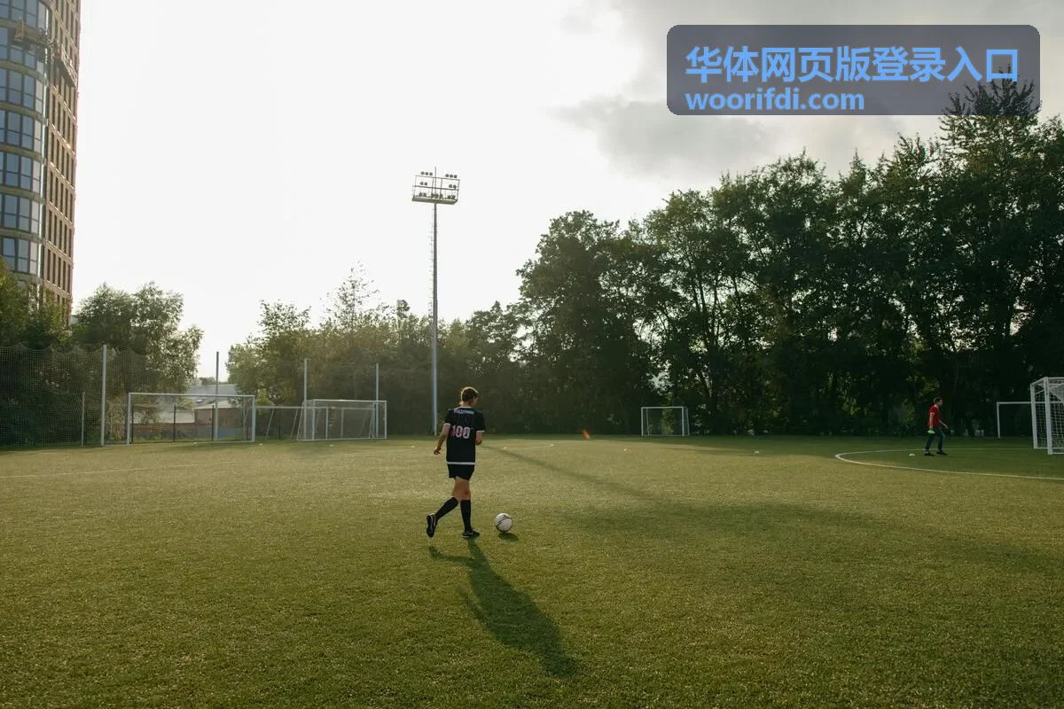 华体网页版登录入口公共设备安全退出封面