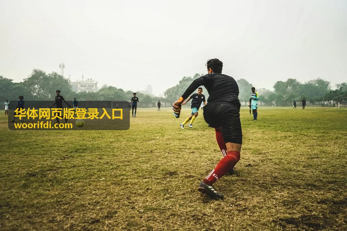 华体网页版登录入口登录步骤整理