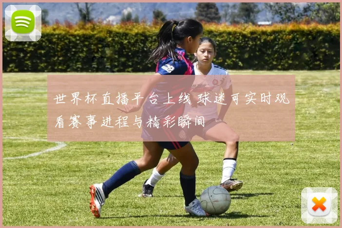 世界杯直播平台上线 球迷可实时观看赛事进程与精彩瞬间