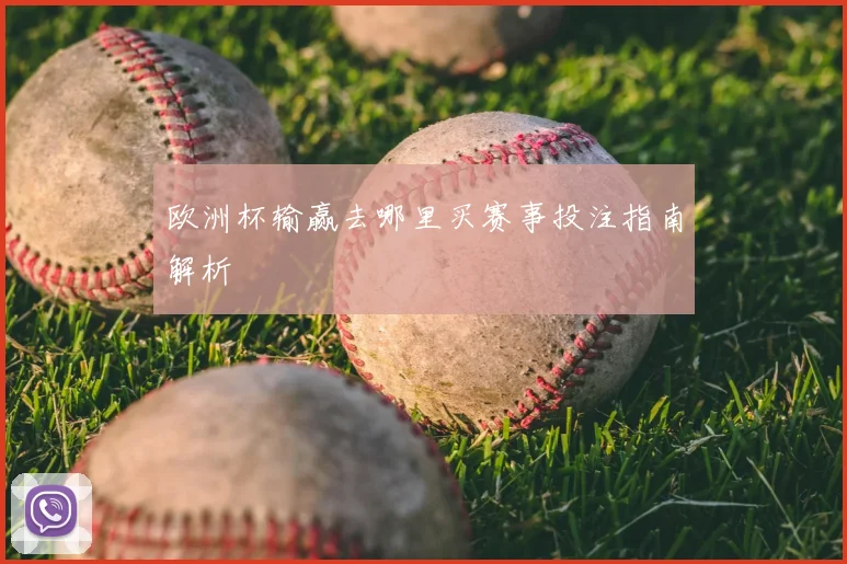 欧洲杯输赢去哪里买赛事投注指南解析