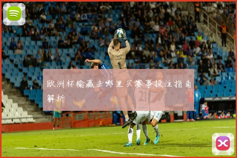 欧洲杯输赢去哪里买赛事投注指南解析