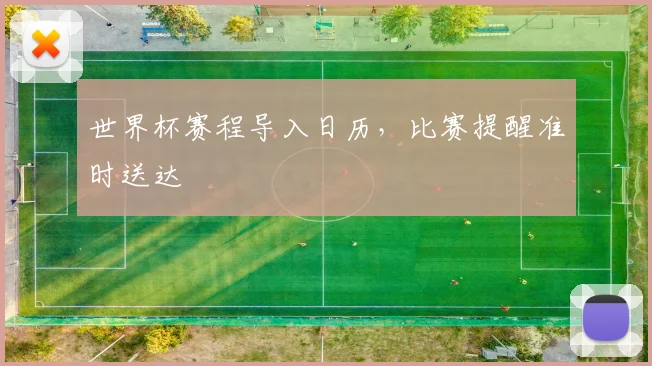 世界杯赛程导入日历，比赛提醒准时送达