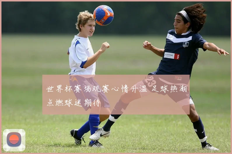 世界杯赛场观赛心情升温 足球热潮点燃球迷期待